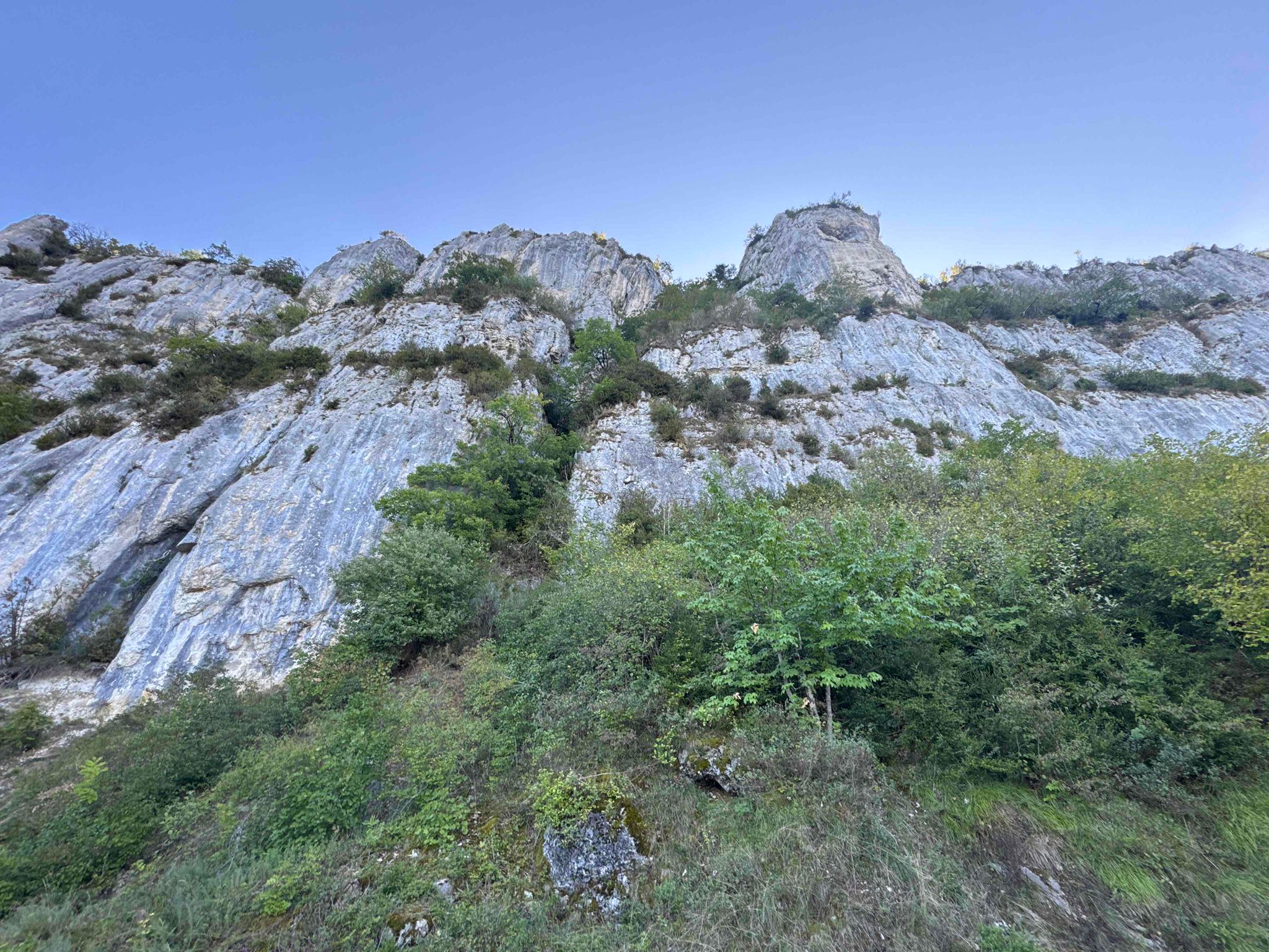 Day 3 Image 36